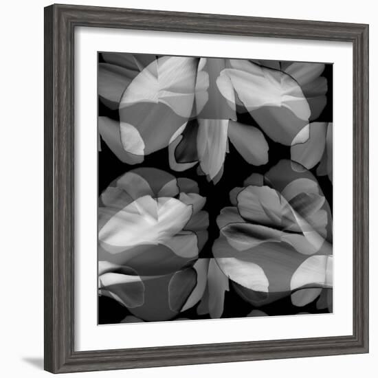 Floral Petals Upon Petals-Winfred Evers-Framed Photographic Print