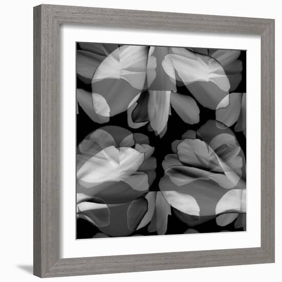 Floral Petals Upon Petals-Winfred Evers-Framed Photographic Print