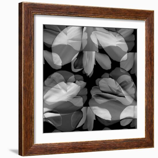 Floral Petals Upon Petals-Winfred Evers-Framed Photographic Print
