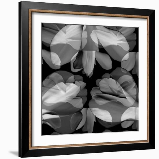 Floral Petals Upon Petals-Winfred Evers-Framed Photographic Print