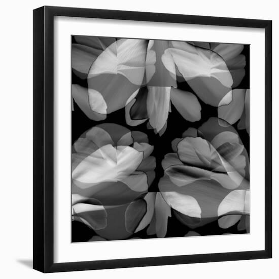 Floral Petals Upon Petals-Winfred Evers-Framed Photographic Print