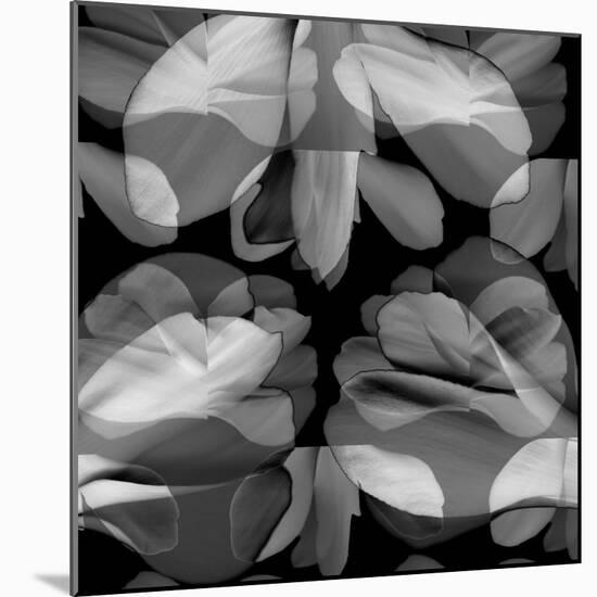 Floral Petals Upon Petals-Winfred Evers-Mounted Photographic Print