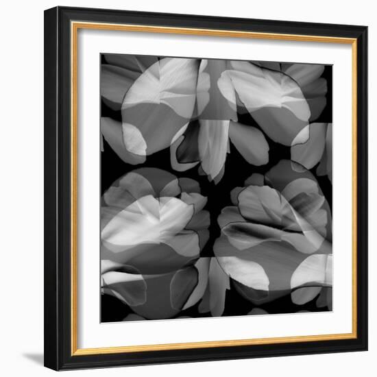 Floral Petals Upon Petals-Winfred Evers-Framed Photographic Print