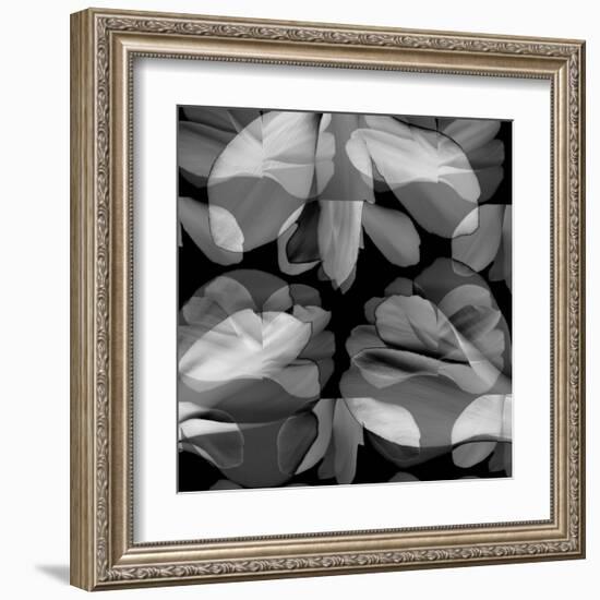 Floral Petals Upon Petals-Winfred Evers-Framed Premium Photographic Print