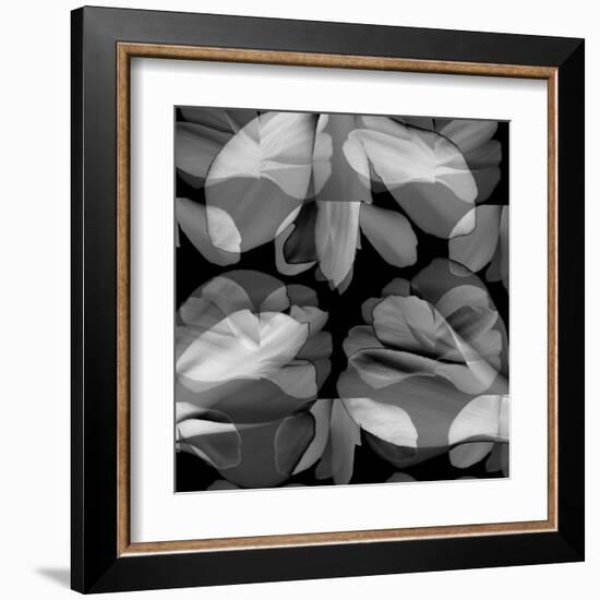 Floral Petals Upon Petals-Winfred Evers-Framed Premium Photographic Print