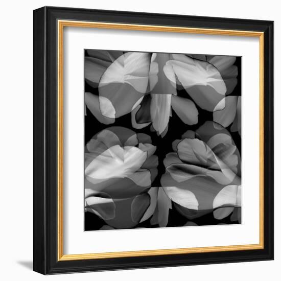 Floral Petals Upon Petals-Winfred Evers-Framed Premium Photographic Print