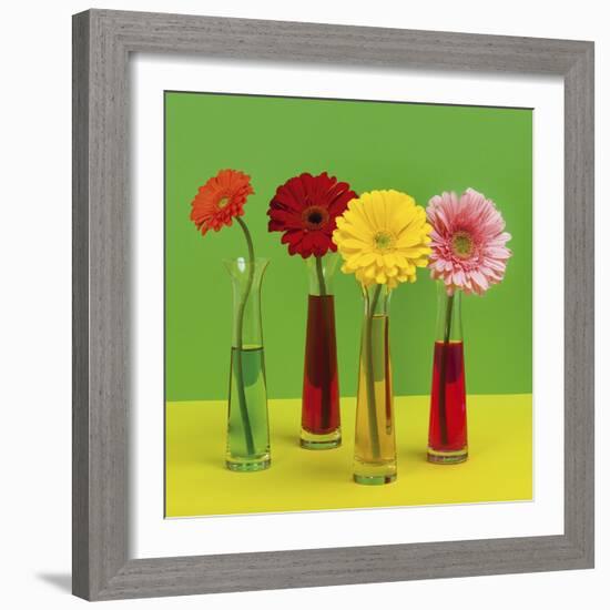 Floral Pop II-Camille Soulayrol-Framed Giclee Print