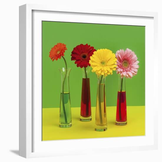 Floral Pop II-Camille Soulayrol-Framed Giclee Print