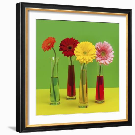 Floral Pop II-Camille Soulayrol-Framed Giclee Print