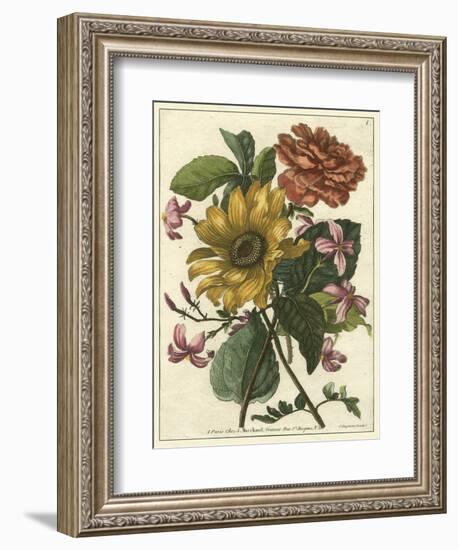 Floral Posy I-Giovanni Ferrari-Framed Art Print