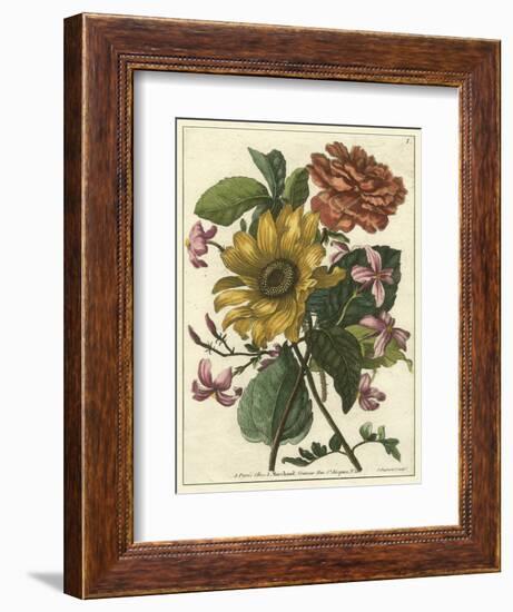 Floral Posy I-Giovanni Ferrari-Framed Art Print