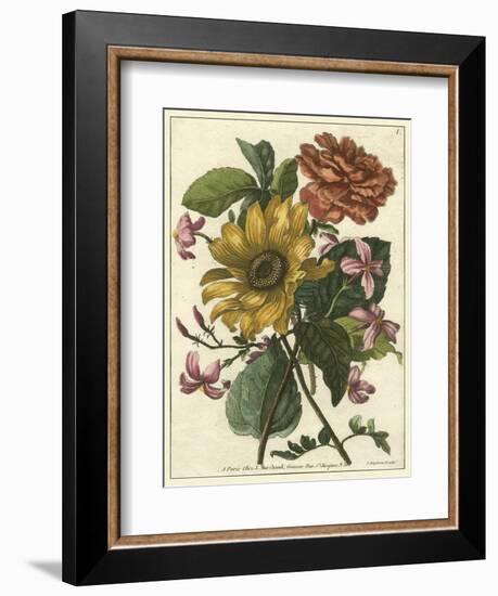 Floral Posy I-Giovanni Ferrari-Framed Art Print