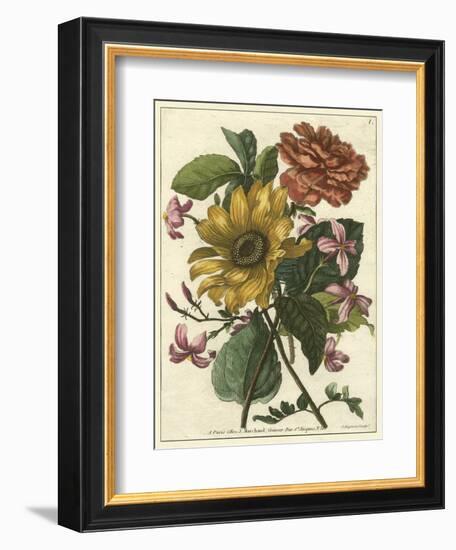 Floral Posy I-Giovanni Ferrari-Framed Art Print