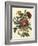 Floral Posy II-Giovanni Ferrari-Framed Art Print