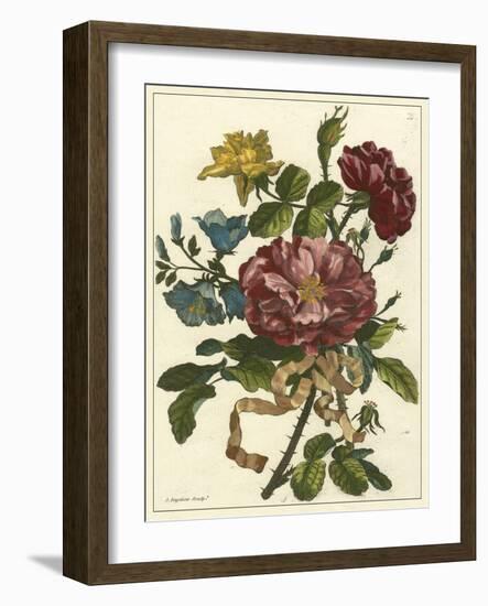Floral Posy II-Giovanni Ferrari-Framed Art Print