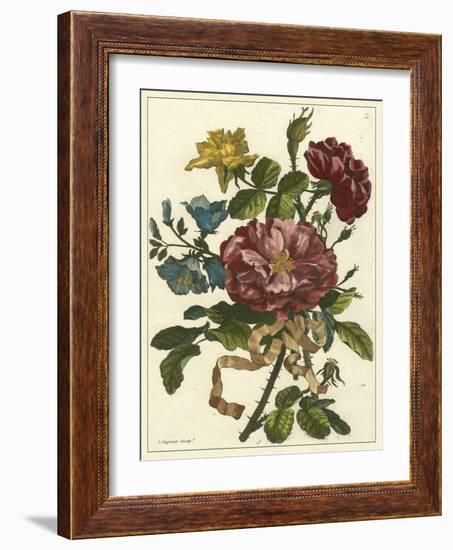 Floral Posy II-Giovanni Ferrari-Framed Art Print