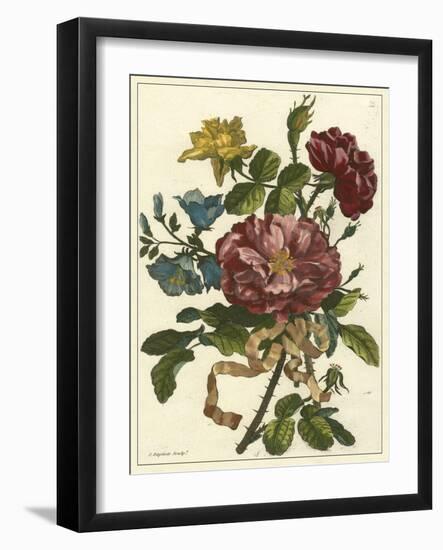 Floral Posy II-Giovanni Ferrari-Framed Art Print