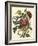 Floral Posy II-Giovanni Ferrari-Framed Art Print