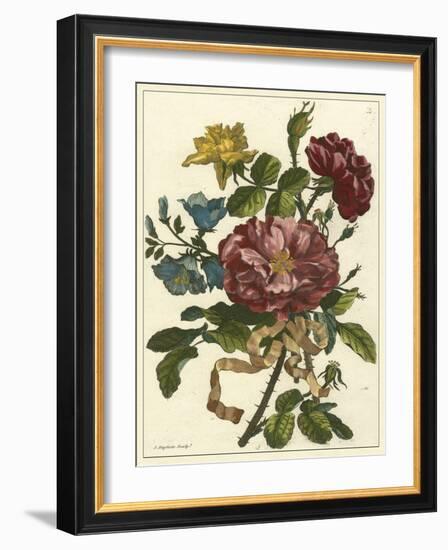 Floral Posy II-Giovanni Ferrari-Framed Art Print