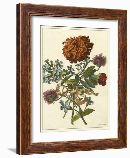 Floral Posy III-Giovanni Ferrari-Framed Art Print