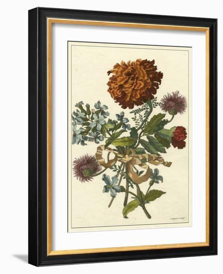 Floral Posy III-Giovanni Ferrari-Framed Art Print