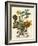 Floral Posy IV-Giovanni Ferrari-Framed Art Print