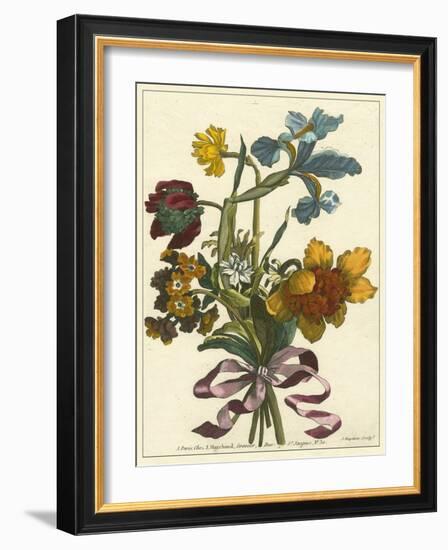 Floral Posy IV-Giovanni Ferrari-Framed Art Print