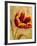 Floral Promices III-Georgie-Framed Giclee Print