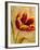 Floral Promices III-Georgie-Framed Giclee Print