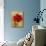 Floral Promices V-Georgie-Mounted Giclee Print displayed on a wall
