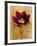 Floral Promices VI-Georgie-Framed Giclee Print