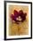 Floral Promices VI-Georgie-Framed Giclee Print