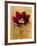 Floral Promices VI-Georgie-Framed Giclee Print