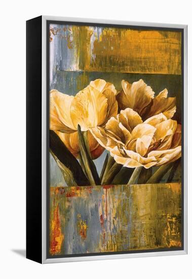 Floral Radiance II-Linda Thompson-Framed Stretched Canvas