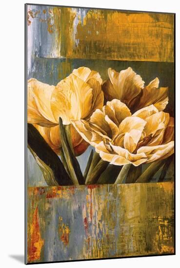 Floral Radiance II-Linda Thompson-Mounted Art Print