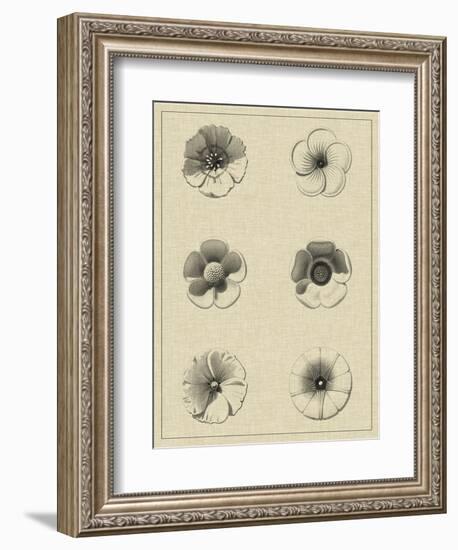 Floral Rosette I-Vision Studio-Framed Art Print