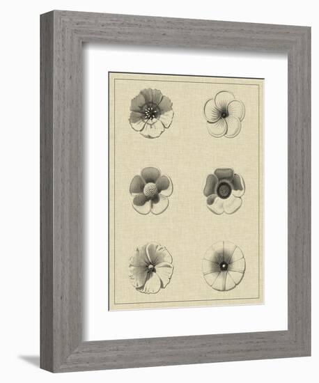 Floral Rosette I-Vision Studio-Framed Art Print