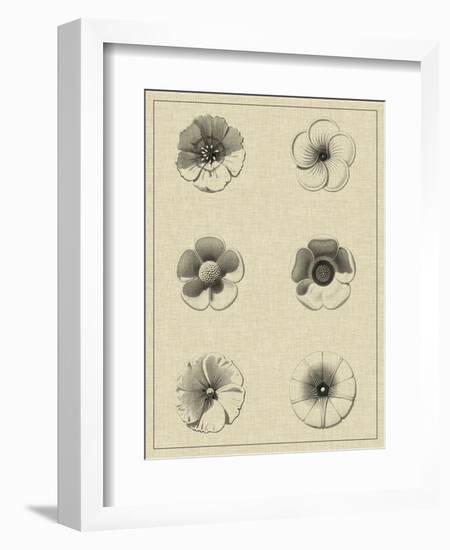 Floral Rosette I-Vision Studio-Framed Art Print