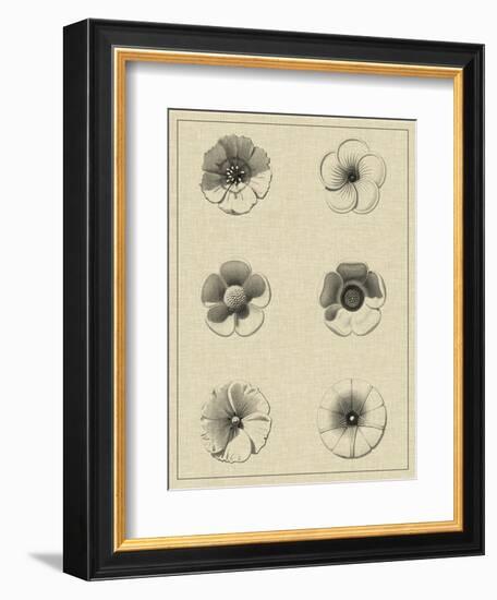 Floral Rosette I-Vision Studio-Framed Art Print