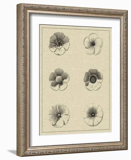 Floral Rosette I-Vision Studio-Framed Art Print
