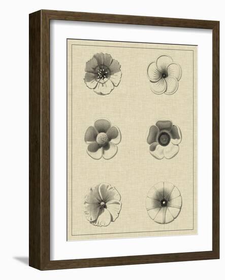 Floral Rosette I-Vision Studio-Framed Art Print