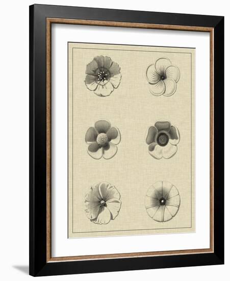 Floral Rosette I-Vision Studio-Framed Art Print