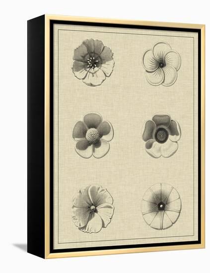 Floral Rosette I-Vision Studio-Framed Stretched Canvas