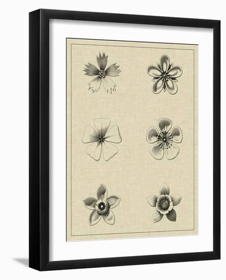 Floral Rosette II-Vision Studio-Framed Art Print