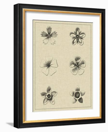 Floral Rosette II-Vision Studio-Framed Art Print