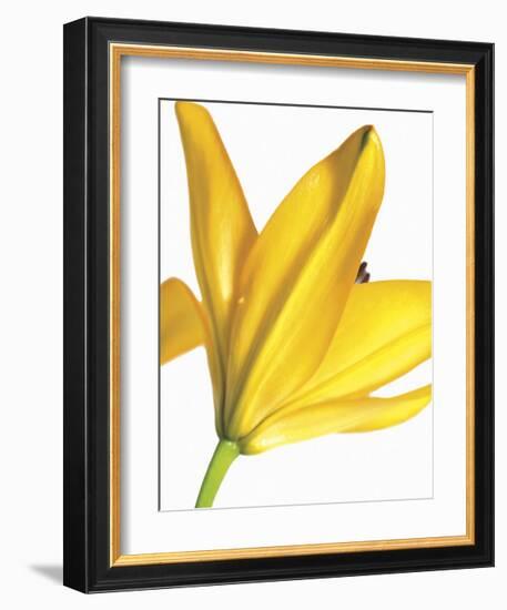 Floral Saturation I-Boyce Watt-Framed Giclee Print