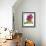 Floral Saturation II-Boyce Watt-Framed Giclee Print displayed on a wall