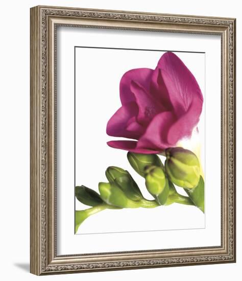 Floral Saturation II-Boyce Watt-Framed Giclee Print