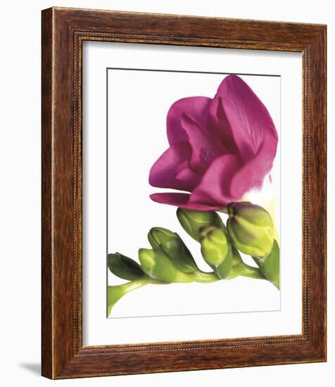 Floral Saturation II-Boyce Watt-Framed Giclee Print