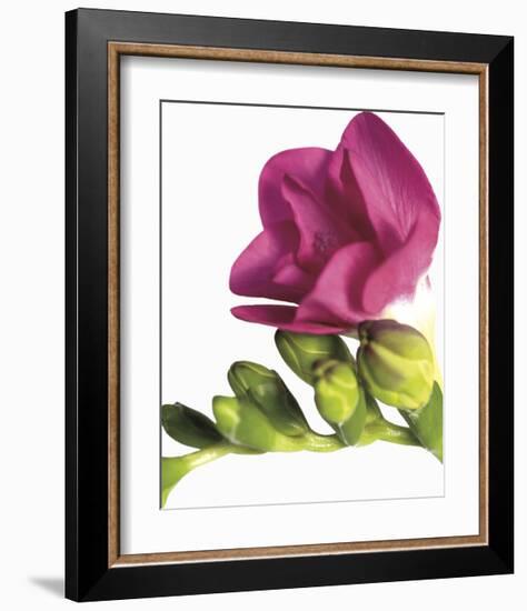 Floral Saturation II-Boyce Watt-Framed Giclee Print